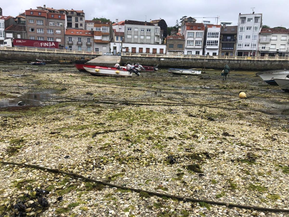 Alojamientos Rias Baixas- Casa Castillejos- Carril 维拉加尔西亚·德·阿劳萨 外观 照片